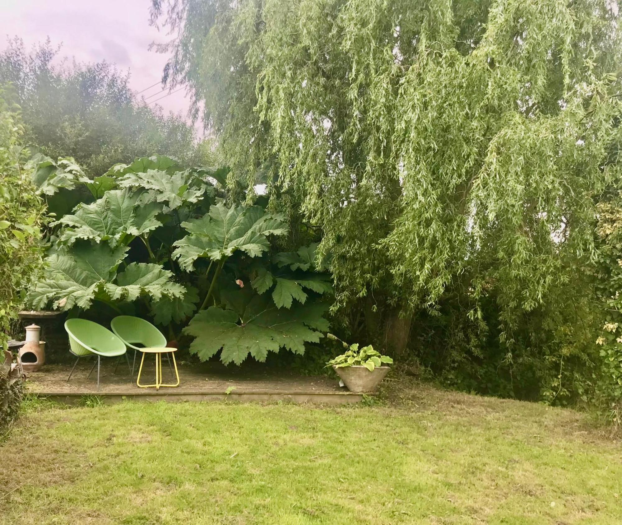 Rural Devon Retreat In Stunning Exe Valley. Exeter Kültér fotó